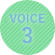 VOICE3